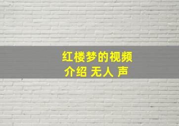 红楼梦的视频介绍 无人 声